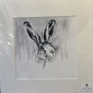 Hare - unframed Giclee print
