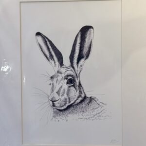 Large prints - hare